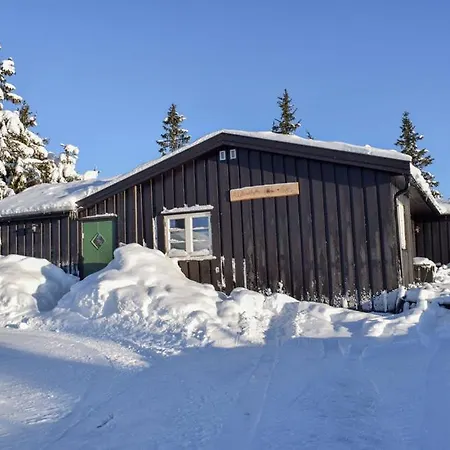 Tatil Evi Uplandhytta *