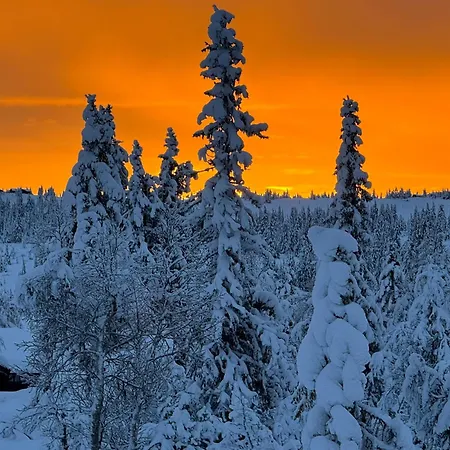 Uplandhytta Sjusjøen